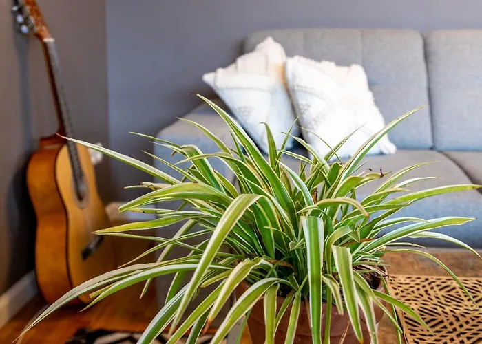 Epinal, Centre / Gare Épinal