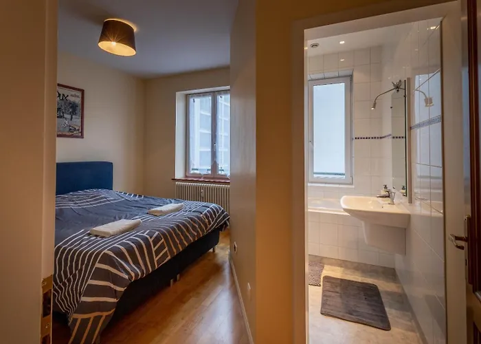 Epinal, Centre / Gare Apartmán